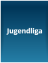 Jugendliga